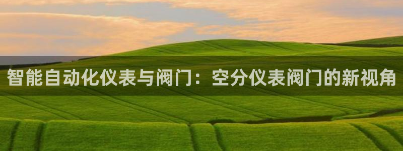 云顶国际物流有限公司