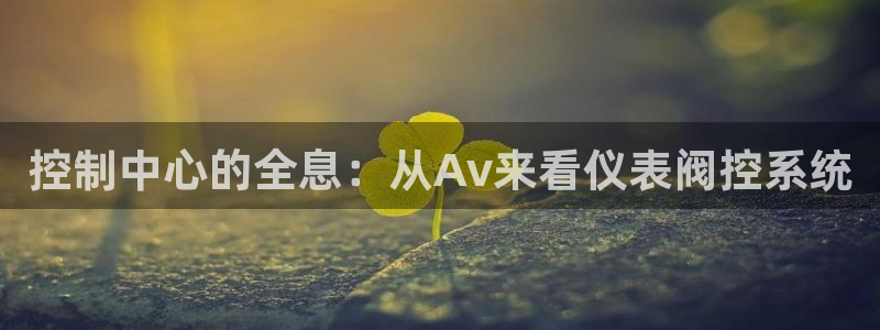 云顶国际酒店老板