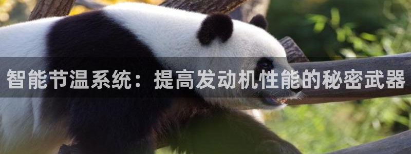 云顶国际大酒店停车场收费