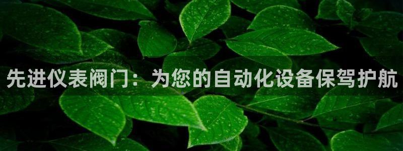 云顶国际网站能玩吗