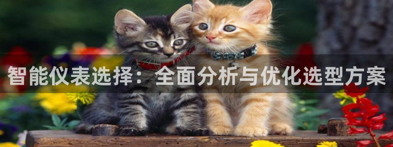 云顶国际服什么时候更新的