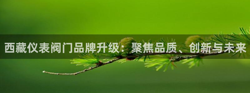 云顶国际是正规平台吗