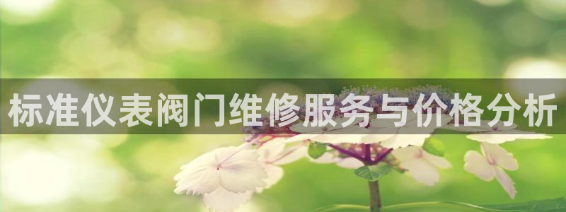 云顶国际app是什么