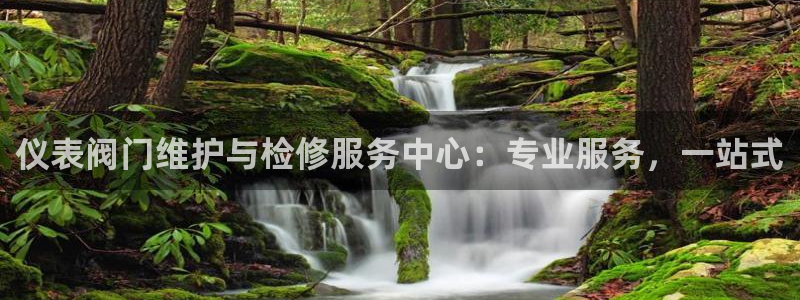 云顶集团大少爷是谁