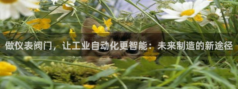 太原市云顶国际大酒店