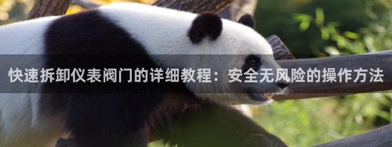 云顶28官网下载