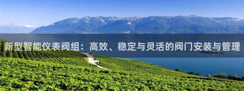 云顶国际服什么时候更新s90