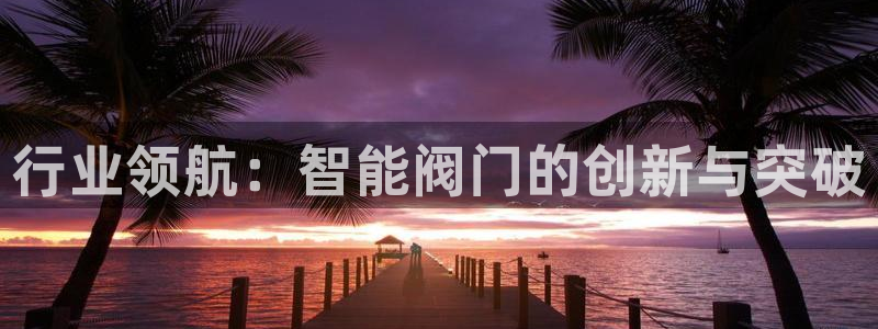 云顶国际电子注册平台官网