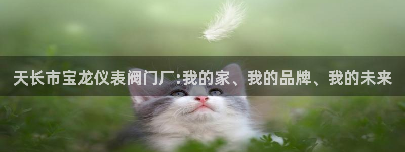 云顶国际旅行社电话