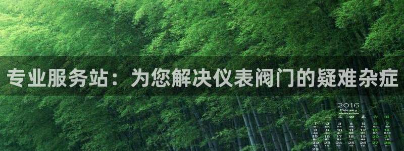 云顶国际高中学费多少