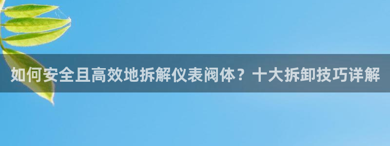 云顶国际服联机