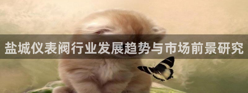 云顶国际服维护时间