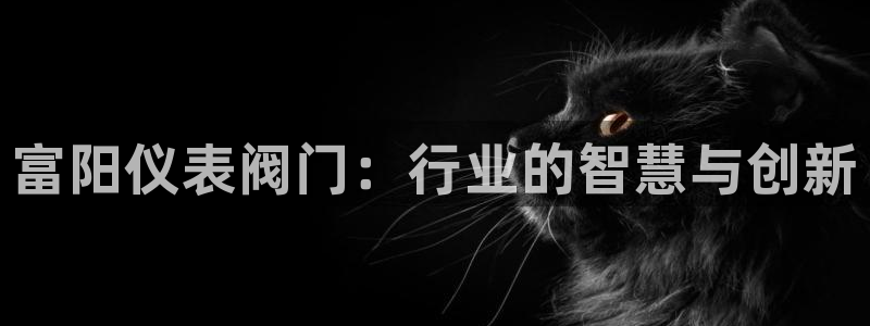 上海云顶国际会所有什么服务