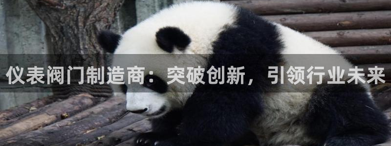 云顶国际服账号交易