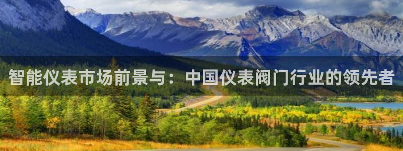 云顶国际是做什么的公司