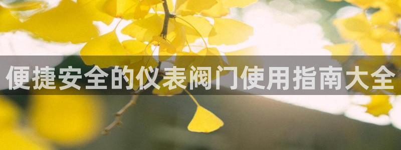 云顶国际酒店老板简介