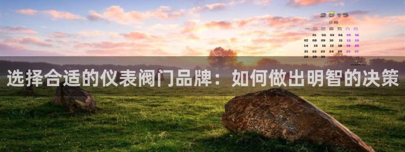 云顶国际商业广场可以充电动车吗