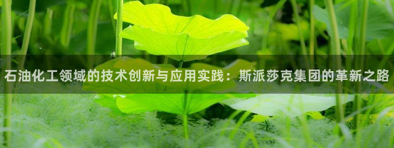 云顶国际高中学费多少一年