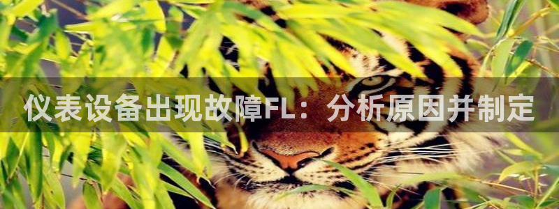 云顶国际酒店几星级最高