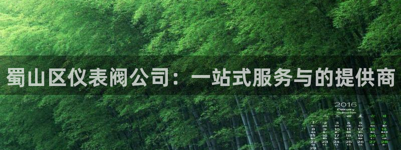 云顶国际商业广场可以充电动车吗