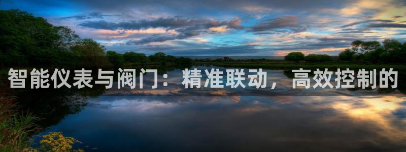 云顶集团 中国排名第几